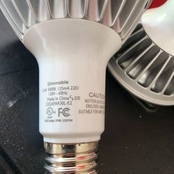 Led Bulbs