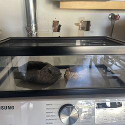 Reptile Glass Terrarium