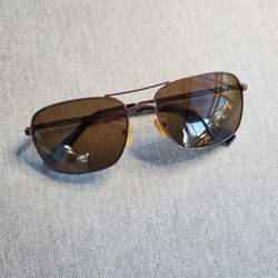 Calvin Klein Sunglasses