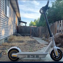 Segway Scooter Like New
