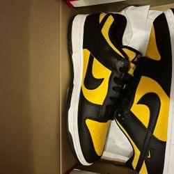 Nike Dunk Low (Size 9) Men 