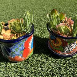 Talavera Planter Arrangements 