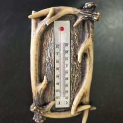 Thermometer 