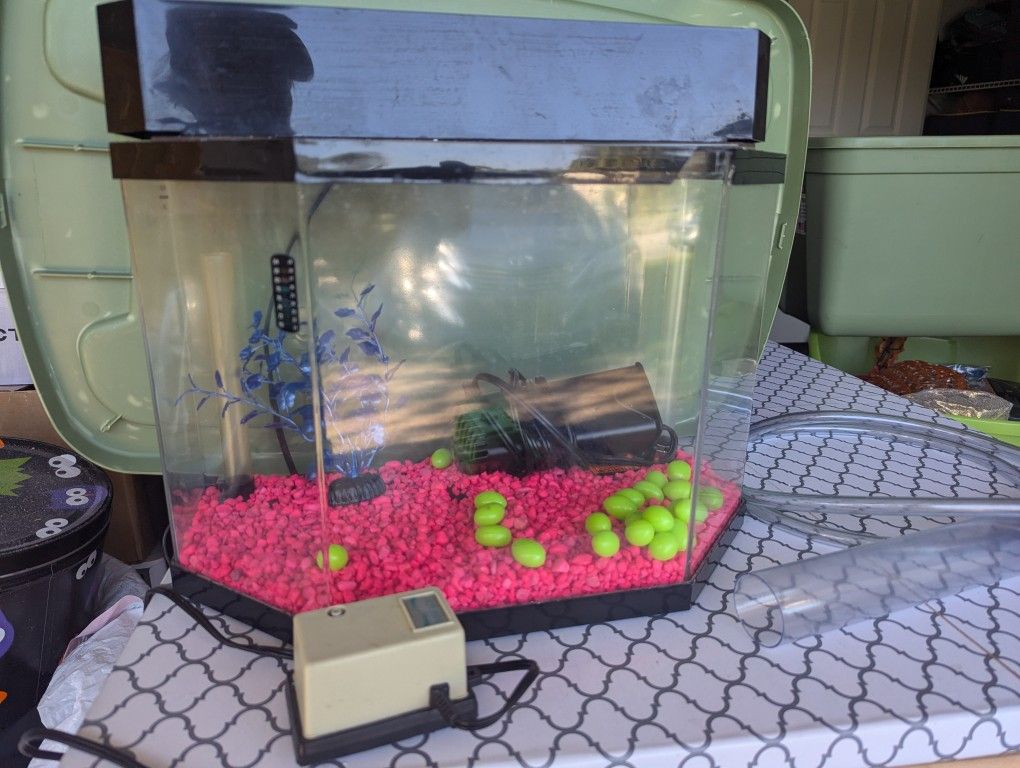 2 Gal Fish Tank