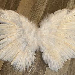 Angel Wings Costume 