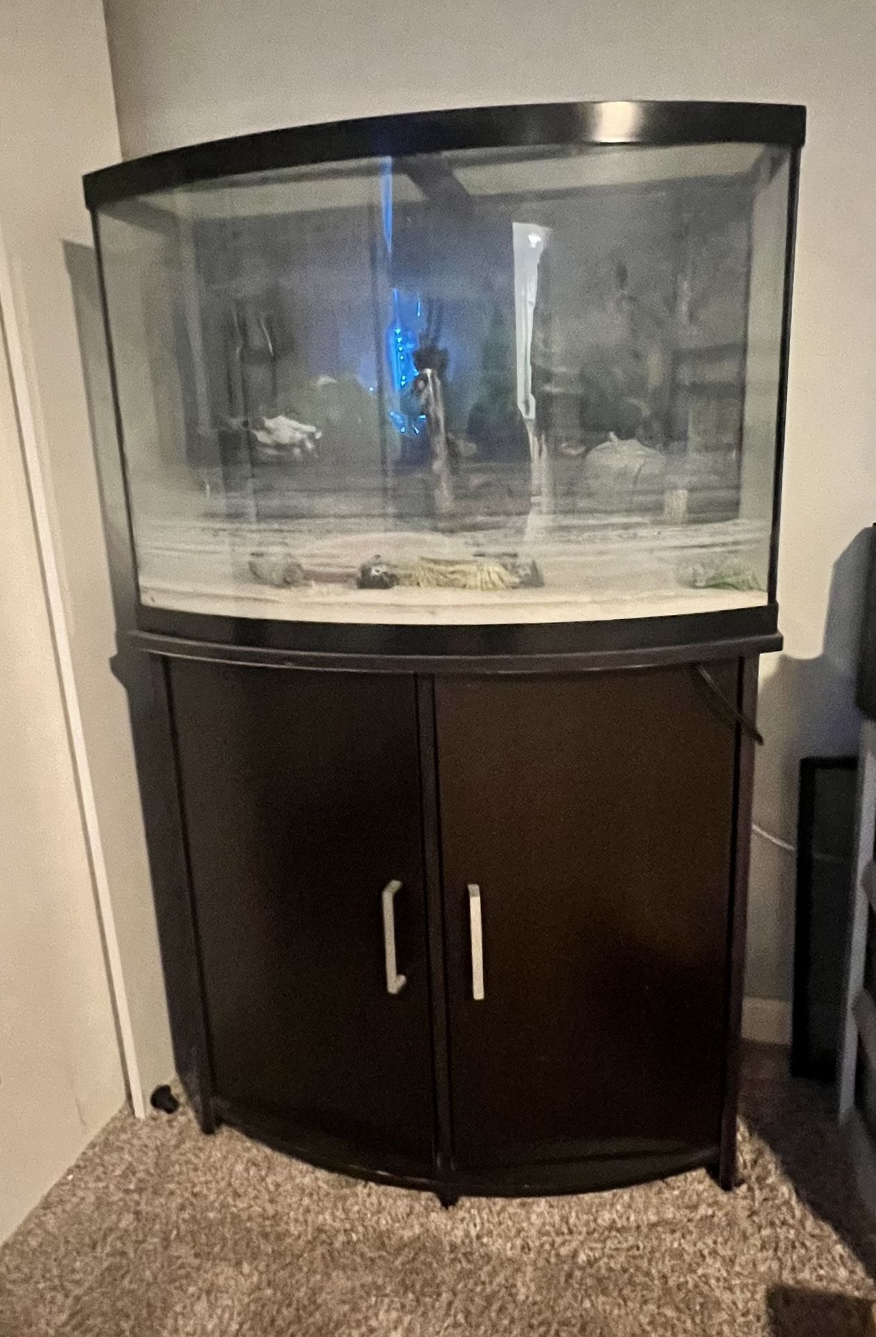 36 Gallon Freshwater Aquarium