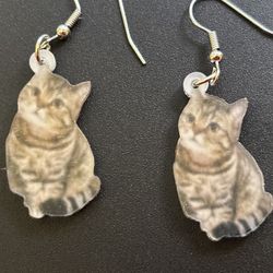 Cute Cat Earrings Silver Wire