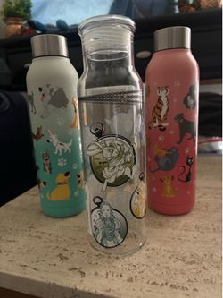Disney Water Bottle Hydroflask Tumbler Disneyland Merchandise