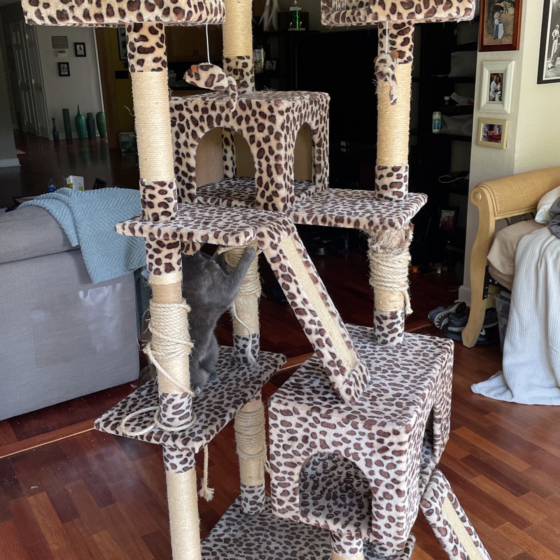 Cat Tree- Cheetah Print 72”