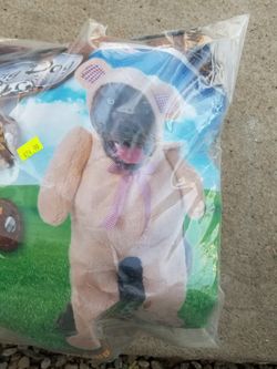 Costume For Large Dogs.