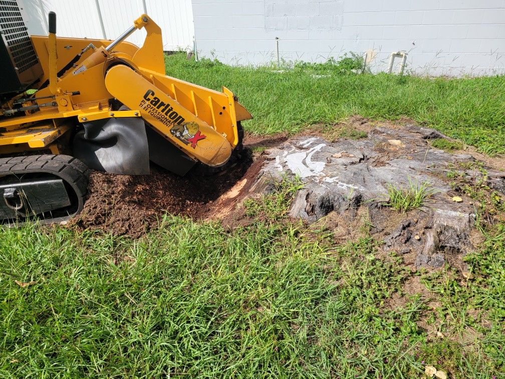 Stump Grinding