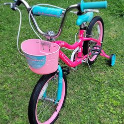 Child Schwinn bike