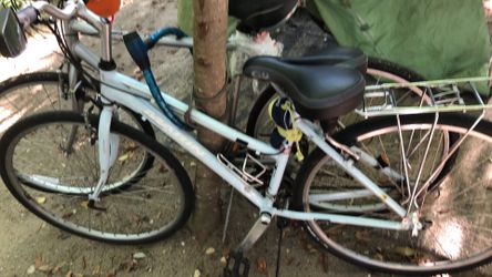 Marin 24 speed chromoly