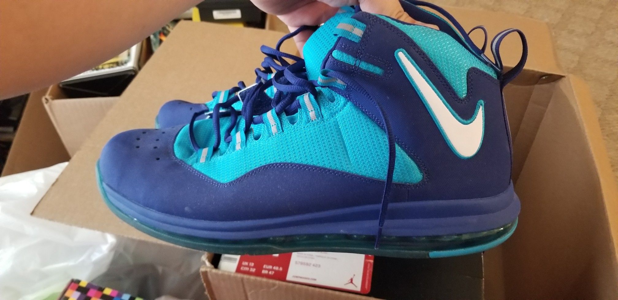 Nike Air Max Darwin 360 Size 14 (Dennis Rodman)