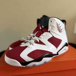 Nike Air Jordan 6 Retro OG Carmine Mens size 10.5