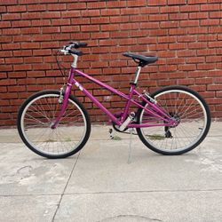 Schwinn Mifflin 24” Girls Bike