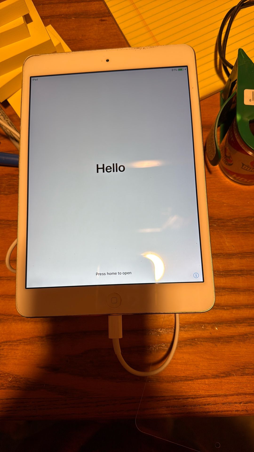 iPad Mini 2