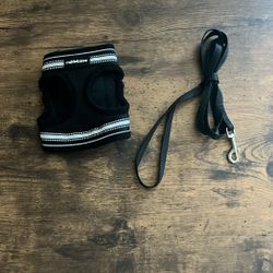 kitten reflective harness and leash 