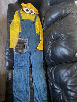 Minions costume