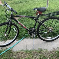 Gt Palomar Brand New 