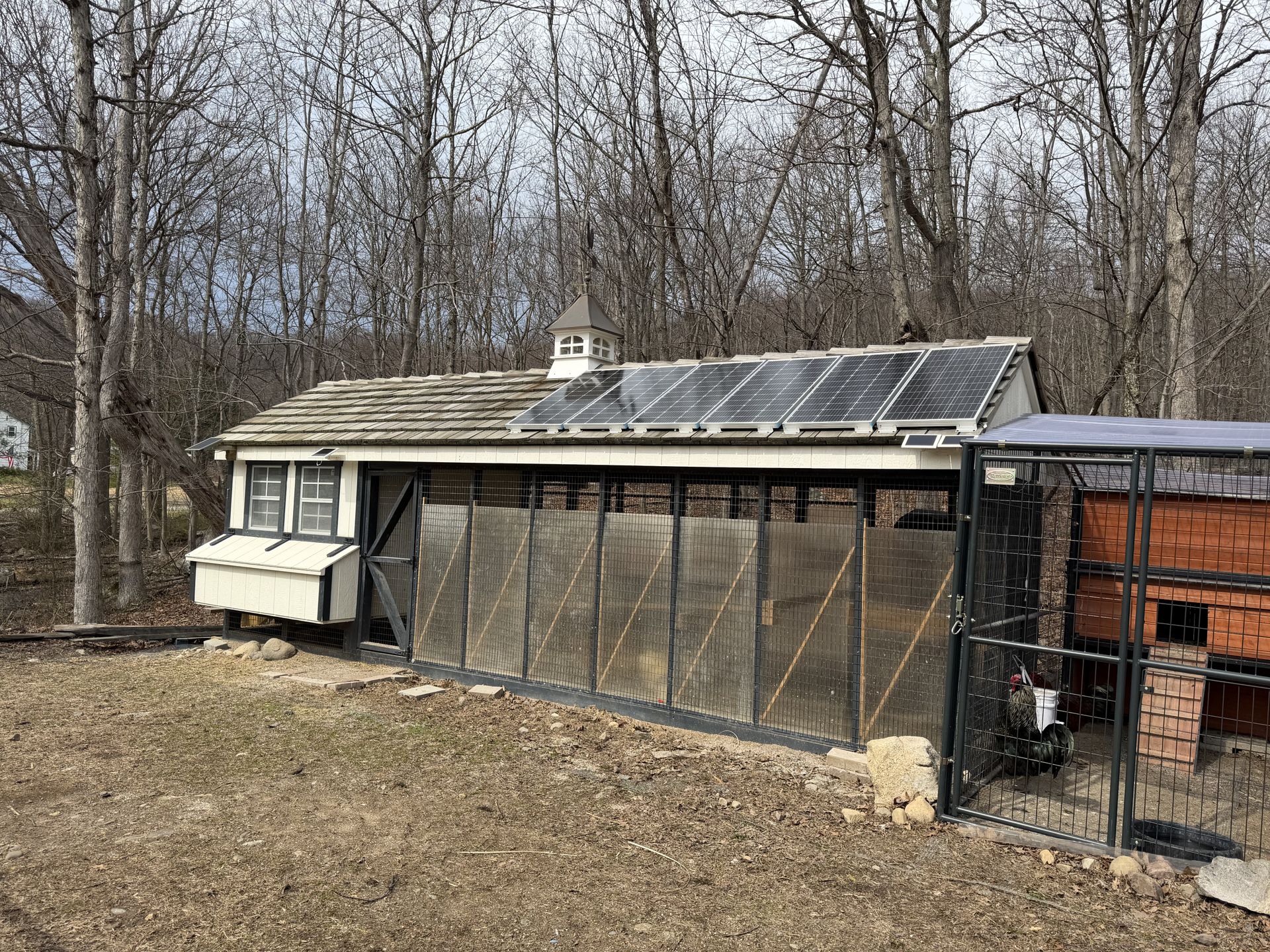 Chicken coop could be a dog house