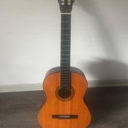 GREMLIN GUITAR ACUSTIC