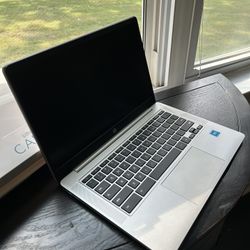 HP Chromebook 14a-na1047nr