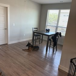 New Dining Table 1 Month Old 