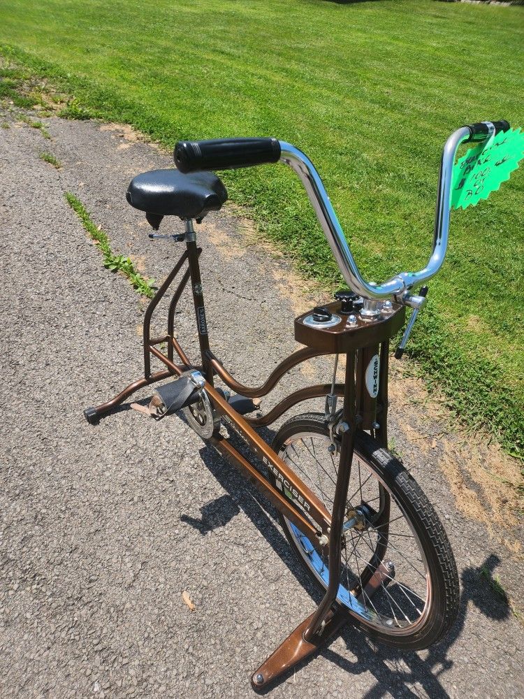 Schwinn Exercise Bike