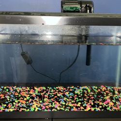 10 Gallon Fish Tank