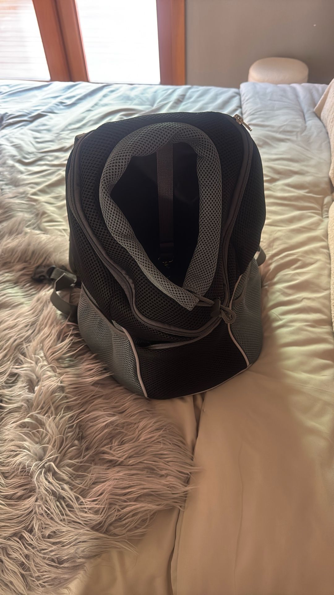 Brand New Small Dog Back Bag Never Used