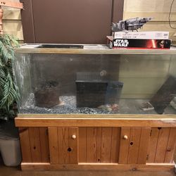 60 Gallon fish reptile Pet tank + Stand