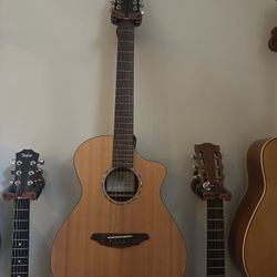 Breedlove Altas AC250/SM-12 12-string Acoustic W w/case