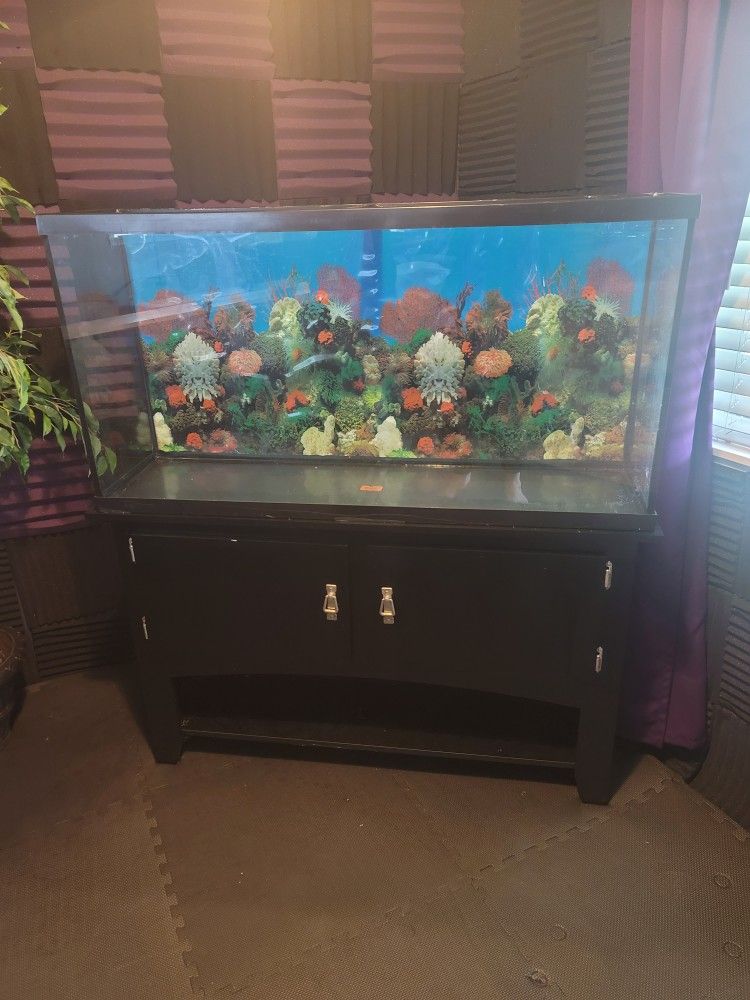 60 Galon Fish Tank With Stand 