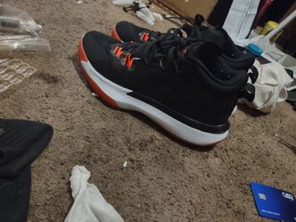 Jordan's Zion1 Sneakers 