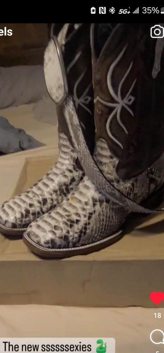 Snake Skin Python Boots Matching Belt