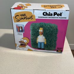 Chia Pet Homer 