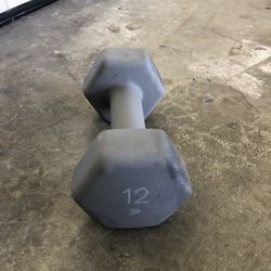 Single Dumbbell Weight of 12 Lbs for Sale