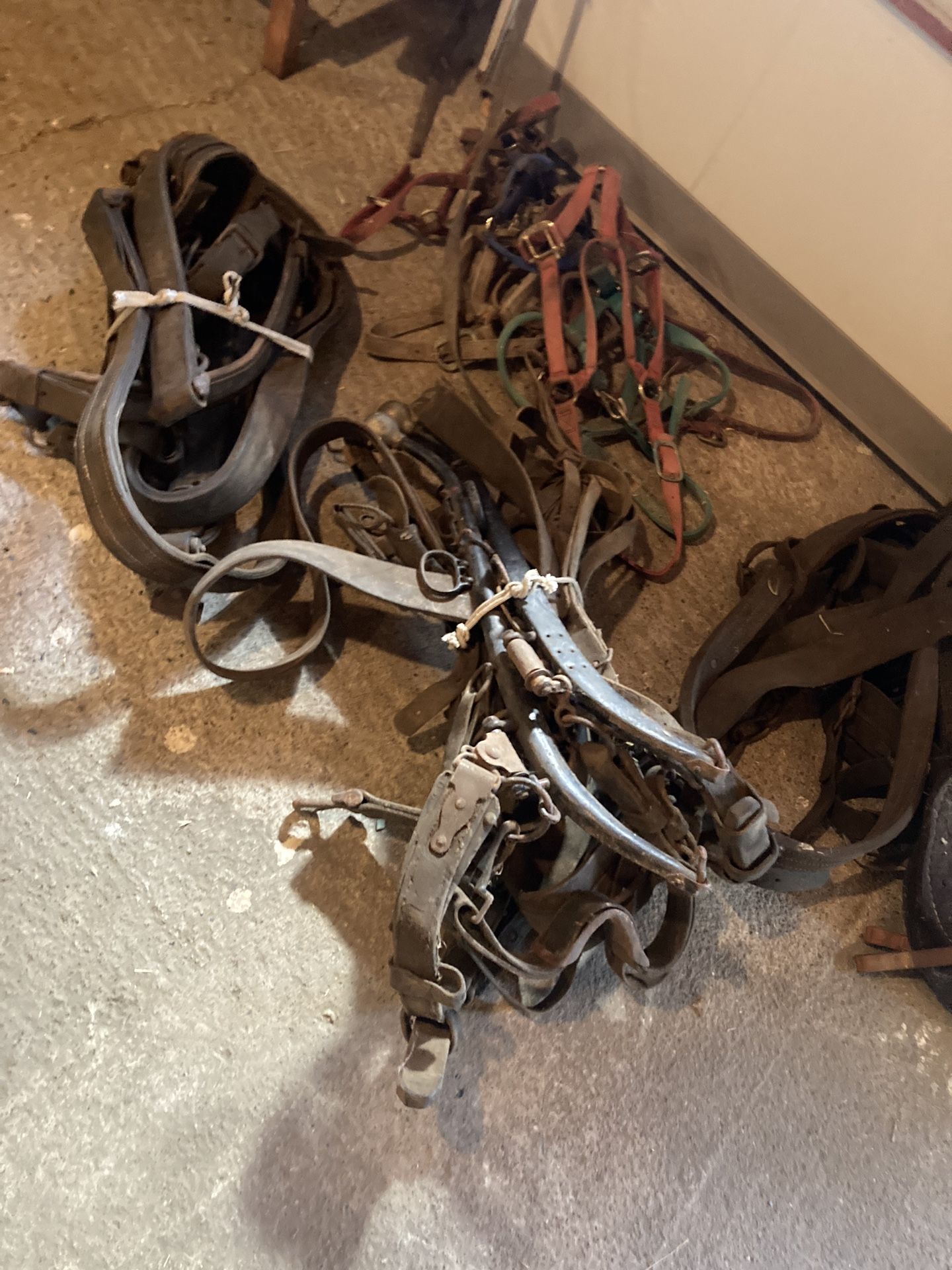 Horse Tack