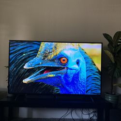 55” SONY BRAVIA 4K 
