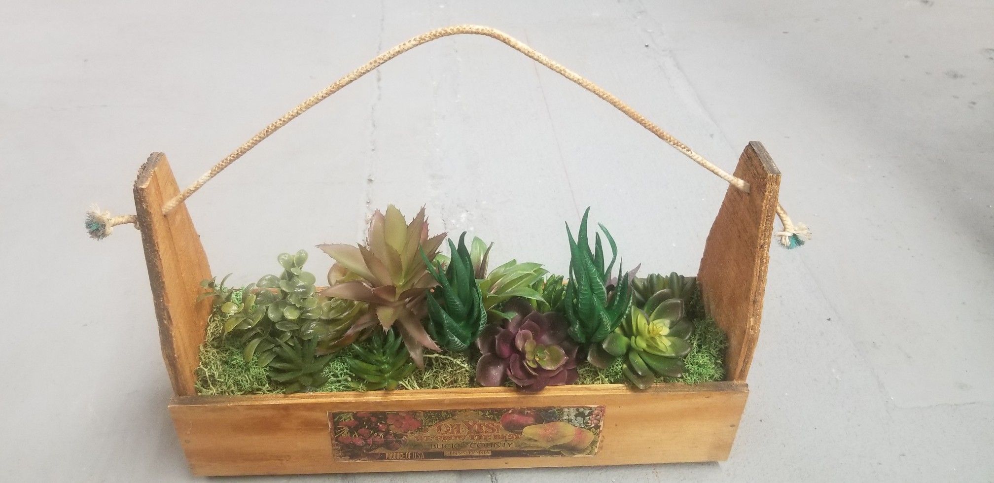 Faux succulent crate