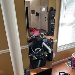 Proform Fitness Full Length Mirror 