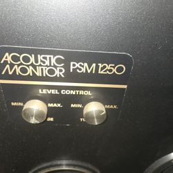 2 Acoustic Speakers W/ Covers