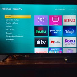 40 Inch Hisense Roku TV