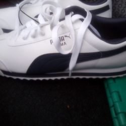 Men's Puma Shoes 
