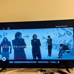 Vizio 43' TV With Extras!