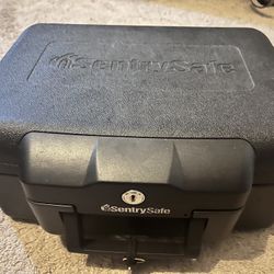 Sentri Safe (flood/disaster proof)