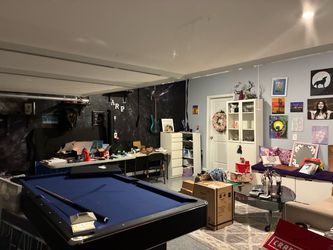Poop table. Balls. Cues. Ping pong net paddles and balls  and top