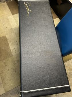 Godin Guitar Case .. Needs A Home