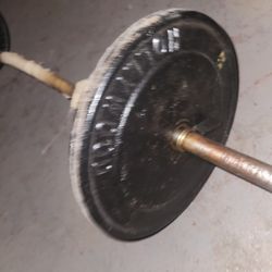 Hollywood Weights 25 Pounds 